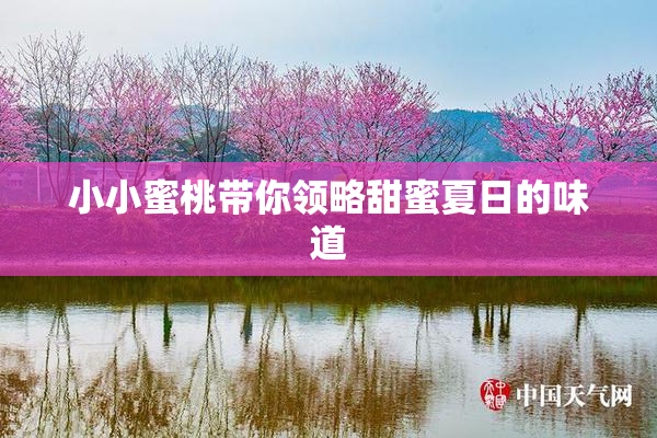 小小蜜桃带你领略甜蜜夏日的味道