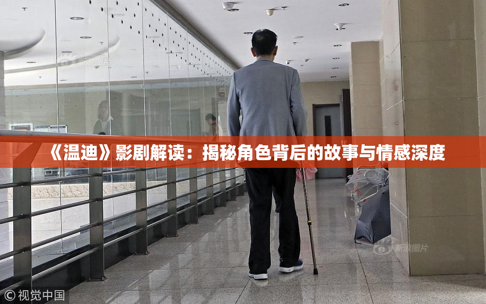 《温迪》影剧解读：揭秘角色背后的故事与情感深度