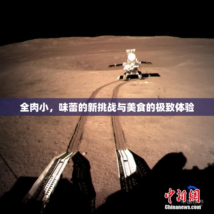 全肉小，味蕾的新挑战与美食的极致体验
