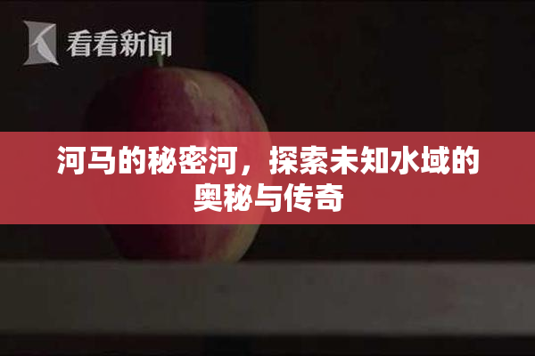 河马的秘密河，探索未知水域的奥秘与传奇