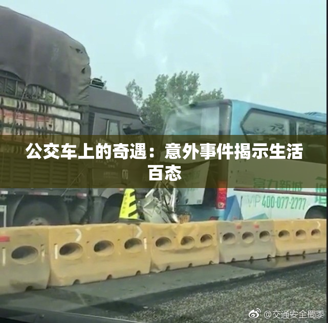 公交车上的奇遇：意外事件揭示生活百态