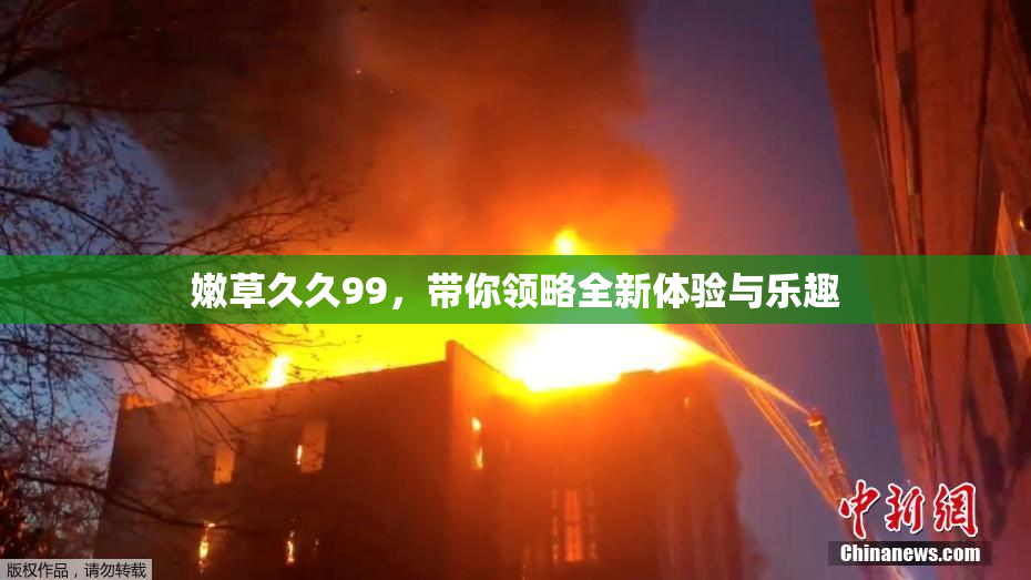 嫩草久久99，带你领略全新体验与乐趣