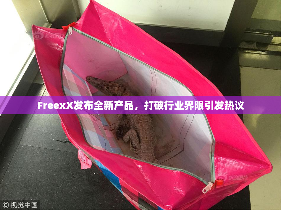 FreexX发布全新产品，打破行业界限引发热议
