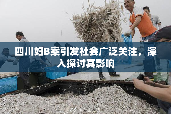 四川妇B案引发社会广泛关注，深入探讨其影响