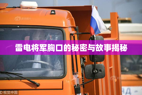 雷电将军胸口的秘密与故事揭秘