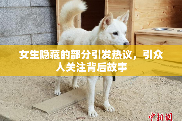 女生隐藏的部分引发热议，引众人关注背后故事