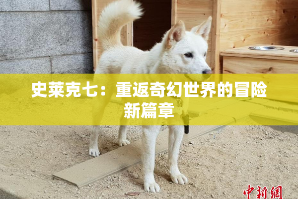 史莱克七：重返奇幻世界的冒险新篇章
