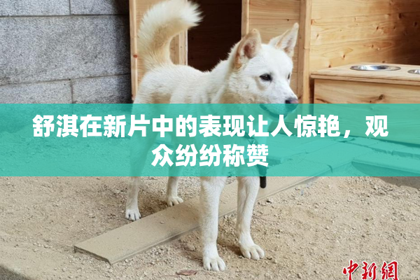 舒淇在新片中的表现让人惊艳，观众纷纷称赞