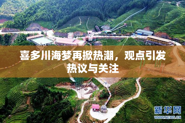 喜多川海梦再掀热潮，观点引发热议与关注