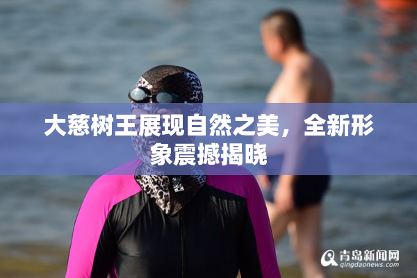 大慈树王展现自然之美，全新形象震撼揭晓