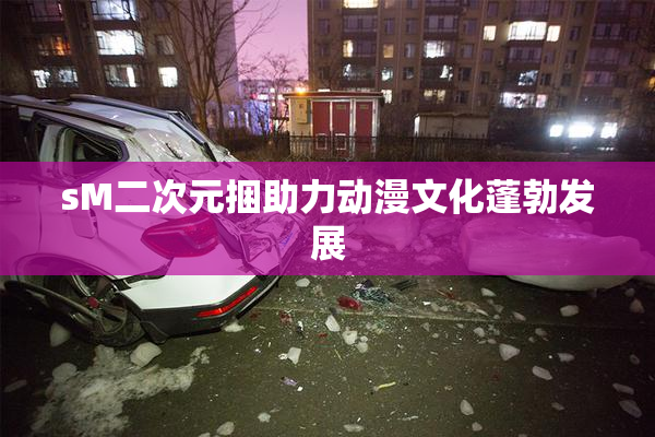 sM二次元捆助力动漫文化蓬勃发展