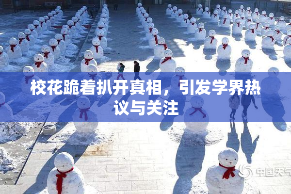 校花跪着扒开真相，引发学界热议与关注