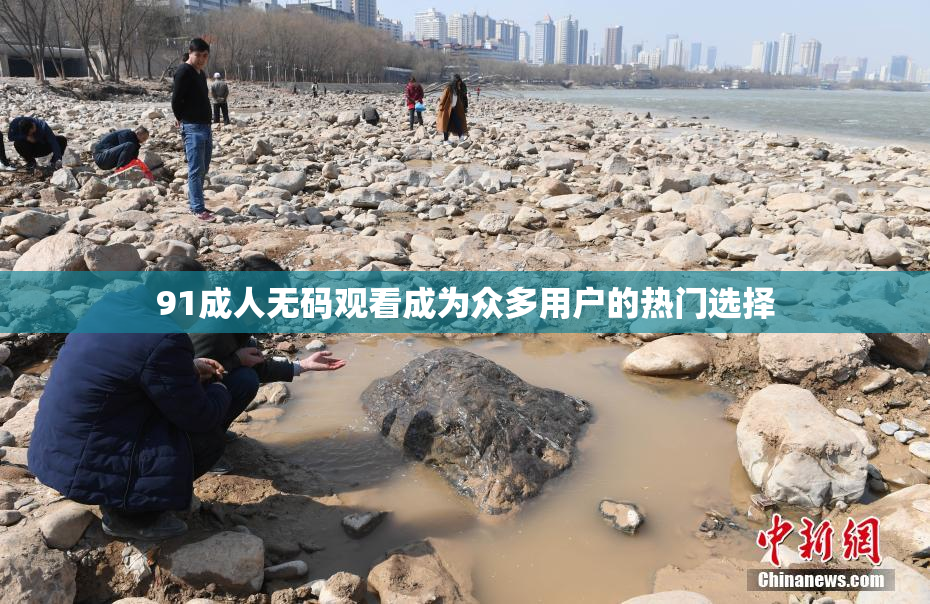 91成人无码观看成为众多用户的热门选择