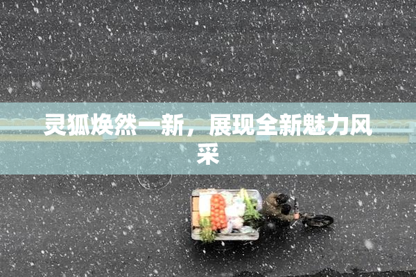 灵狐焕然一新，展现全新魅力风采