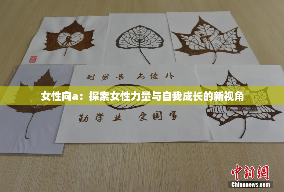 女性向a：探索女性力量与自我成长的新视角