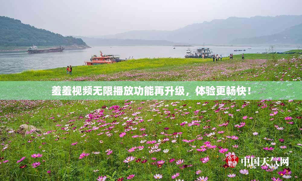 羞羞视频无限播放功能再升级，体验更畅快！