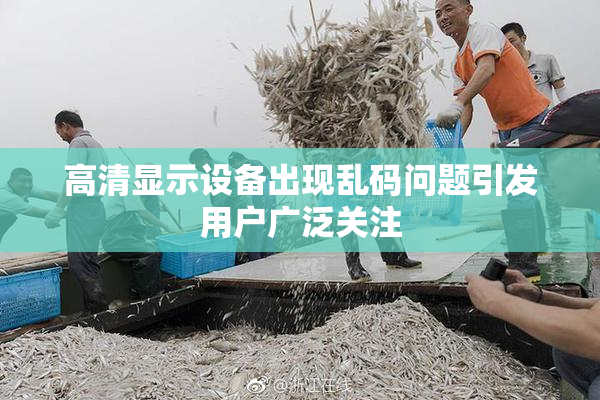 高清显示设备出现乱码问题引发用户广泛关注