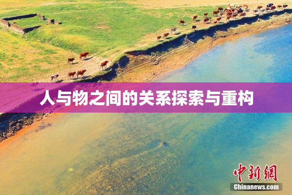 人与物之间的关系探索与重构