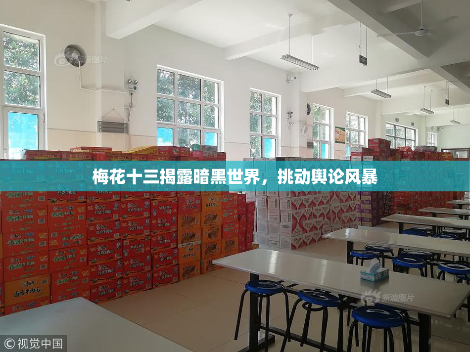 梅花十三揭露暗黑世界，挑动舆论风暴