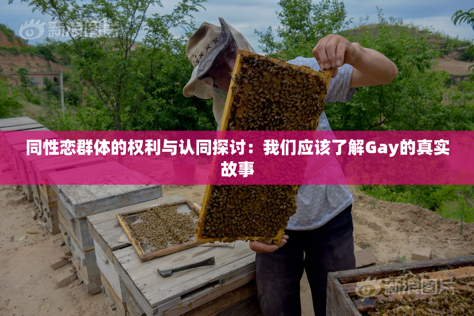 同性恋群体的权利与认同探讨：我们应该了解Gay的真实故事