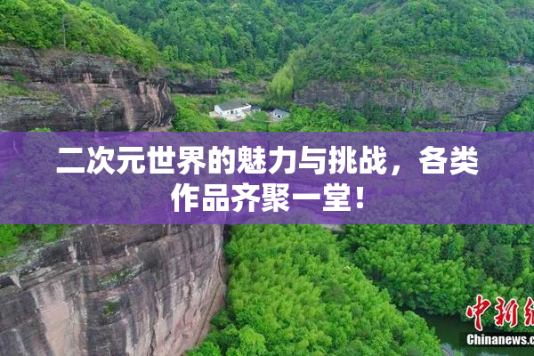 二次元世界的魅力与挑战，各类作品齐聚一堂！