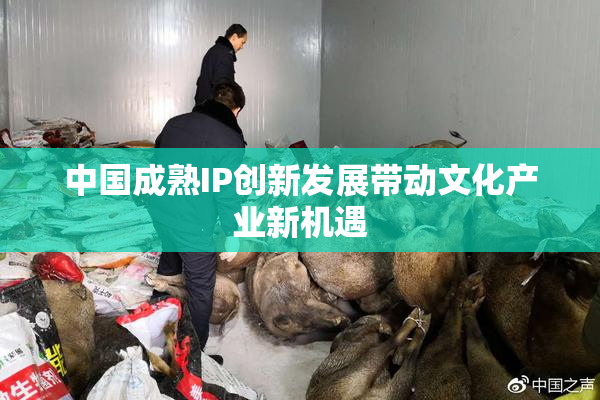 中国成熟IP创新发展带动文化产业新机遇