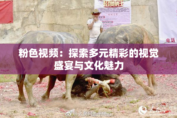 粉色视频：探索多元精彩的视觉盛宴与文化魅力