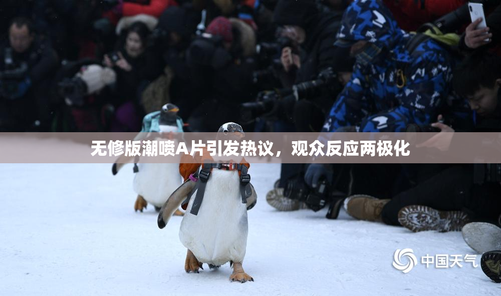 无修版潮喷A片引发热议，观众反应两极化