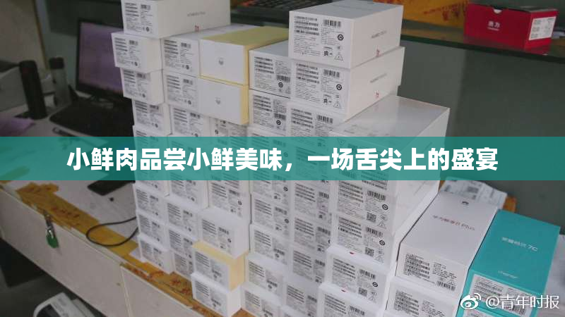 小鲜肉品尝小鲜美味，一场舌尖上的盛宴