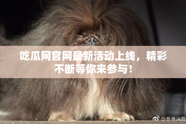 吃瓜网官网最新活动上线，精彩不断等你来参与！