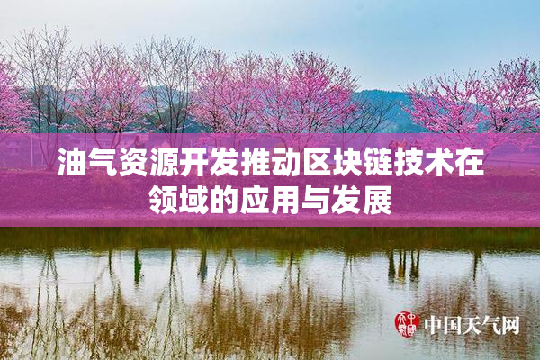 油气资源开发推动区块链技术在领域的应用与发展