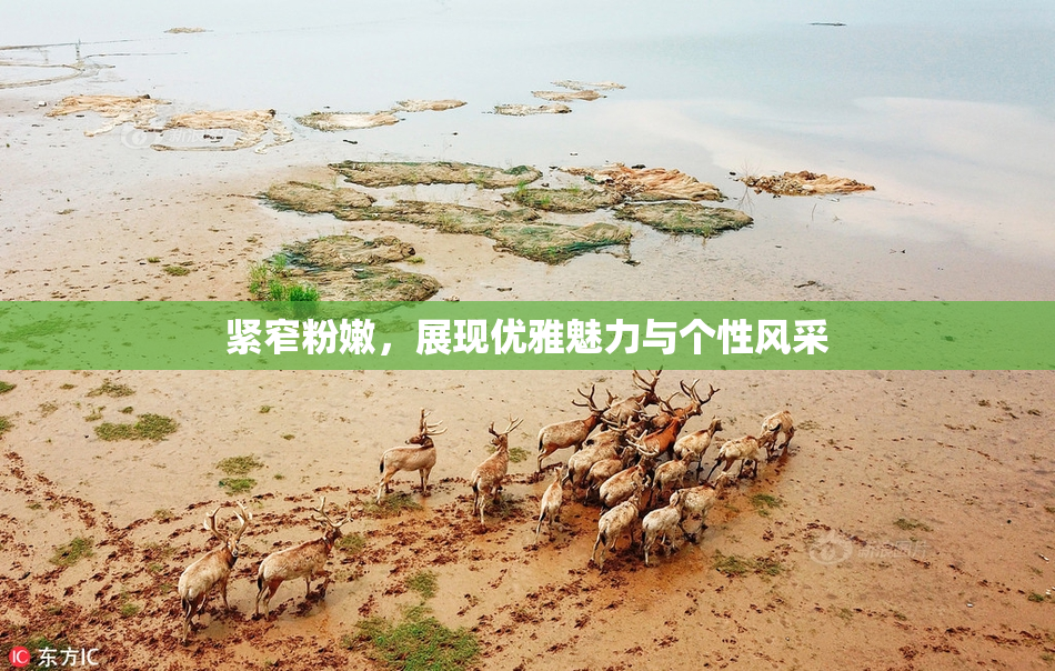 紧窄粉嫩，展现优雅魅力与个性风采