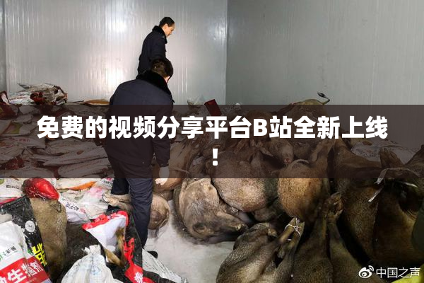 免费的视频分享平台B站全新上线！