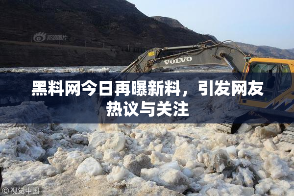 黑料网今日再曝新料，引发网友热议与关注