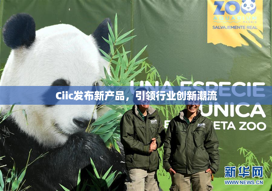 Ciic发布新产品，引领行业创新潮流