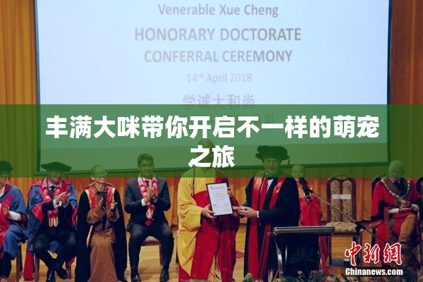 丰满大咪带你开启不一样的萌宠之旅