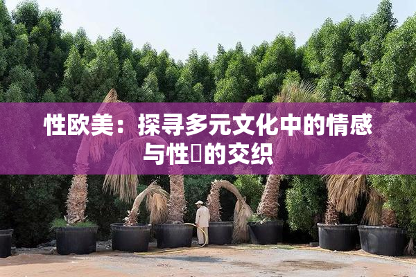 性欧美：探寻多元文化中的情感与性愛的交织