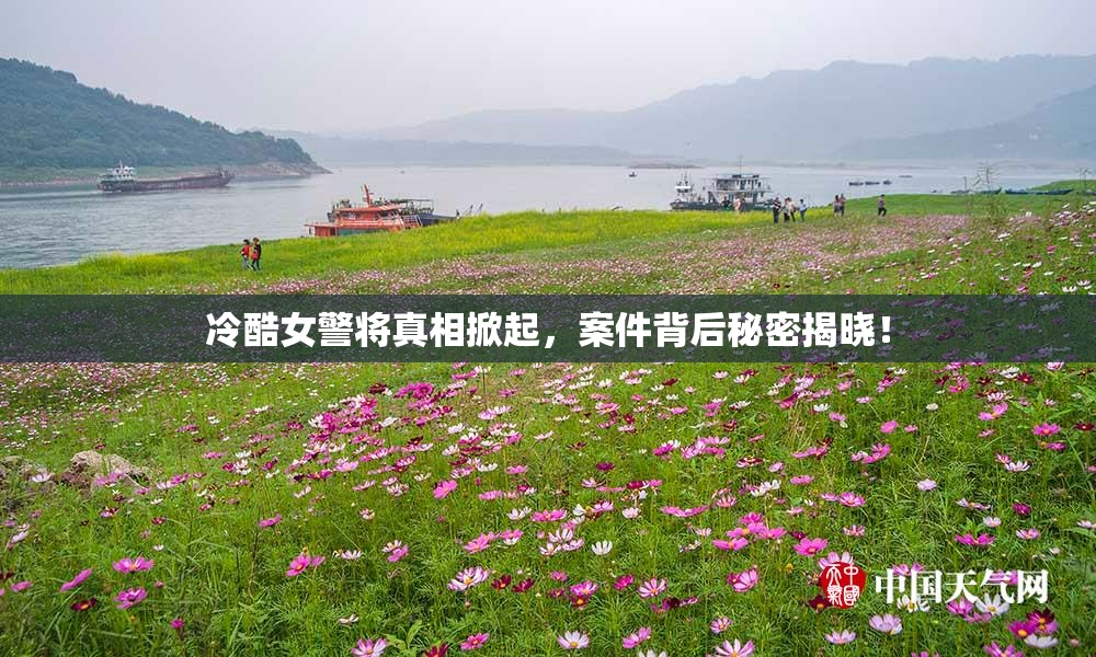 冷酷女警将真相掀起，案件背后秘密揭晓！