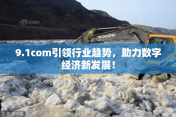 9.1com引领行业趋势，助力数字经济新发展！