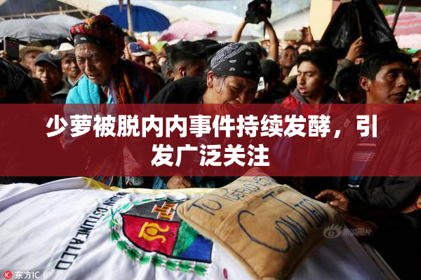 少萝被脱内内事件持续发酵，引发广泛关注