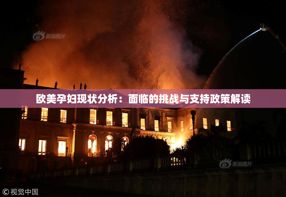 欧美孕妇现状分析：面临的挑战与支持政策解读