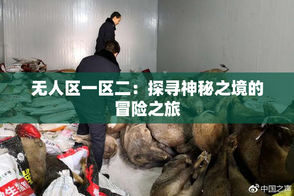 无人区一区二：探寻神秘之境的冒险之旅