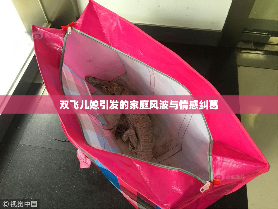 双飞儿媳引发的家庭风波与情感纠葛