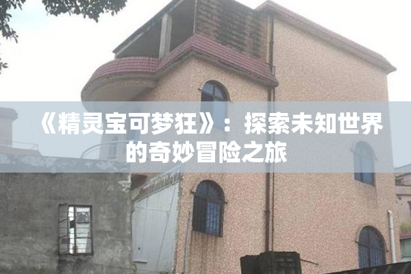 《精灵宝可梦狂》：探索未知世界的奇妙冒险之旅