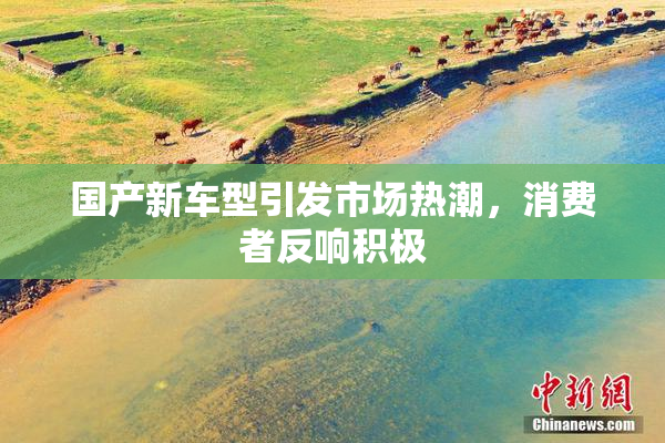 国产新车型引发市场热潮，消费者反响积极