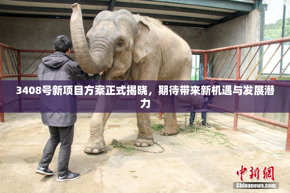 3408号新项目方案正式揭晓，期待带来新机遇与发展潜力