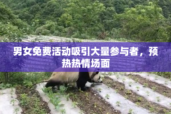 男女免费活动吸引大量参与者，预热热情场面