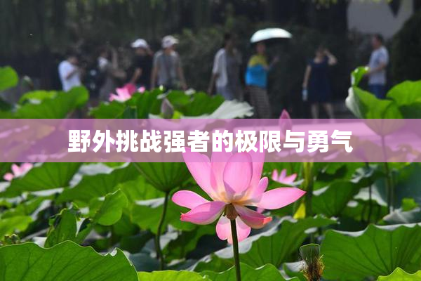 野外挑战强者的极限与勇气