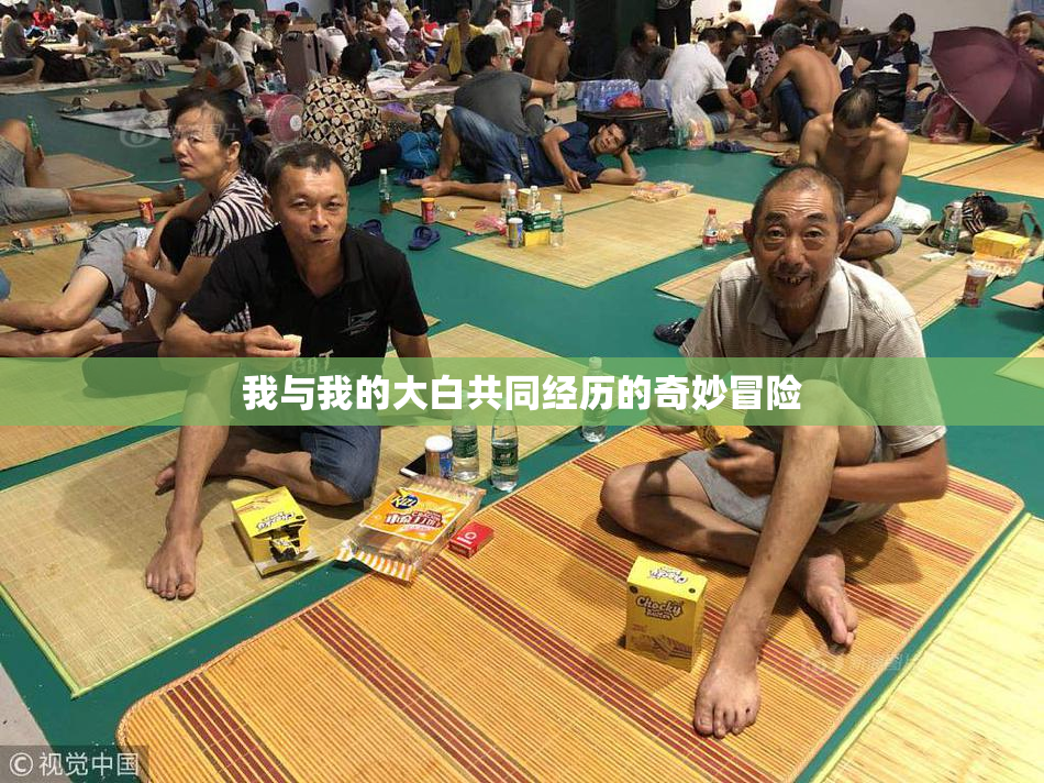 我与我的大白共同经历的奇妙冒险