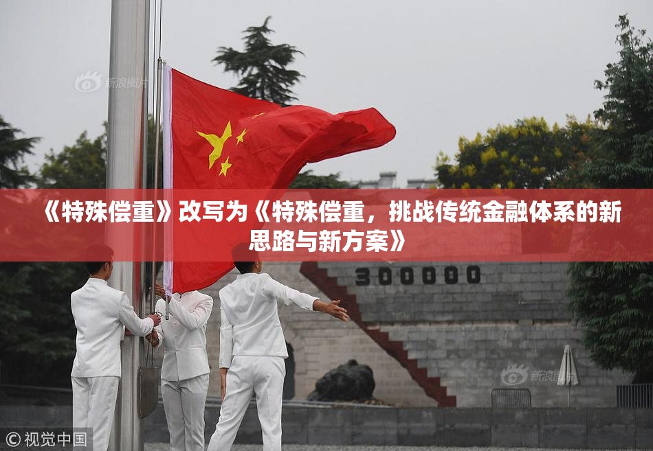 《特殊偿重》改写为《特殊偿重，挑战传统金融体系的新思路与新方案》